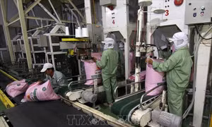 Vận dụng các FTA thúc đẩy xuất khẩu - Bài cuối: Cải thiện năng lực doanh nghiệp và kinh tế xanh