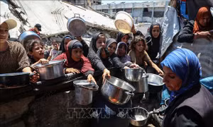 Mỹ xem xét lập khu vực nhân đạo thí điểm ở miền Nam Dải Gaza