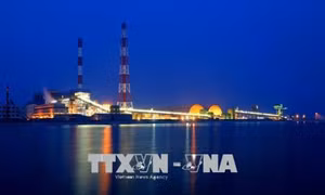 EVN sẽ thoái vốn tại 5 công ty cổ phần