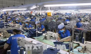 Hoàn thiện pháp luật để thực thi EVFTA có hiệu quả