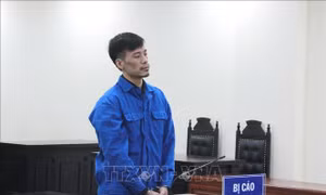 Xét xử vụ án dùng dao là 'vũ khi quân dụng' giết người
