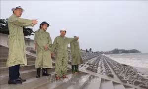 Kiểm tra công tác phòng, chống bão Noru tại các địa phương ven biển Đà Nẵng, Quảng Ngãi 