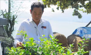 Người lính Trường Sa năm xưa - Người lính hội nhập 