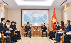 Phó Thủ tướng Hồ Đức Phớc tiếp Chủ tịch kiêm Tổng Giám đốc điều hành Ngân hàng IBK