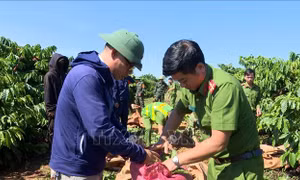 'Chủ Nhật về làng' - Mô hình dân vận gần dân, giữ vững an ninh buôn làng