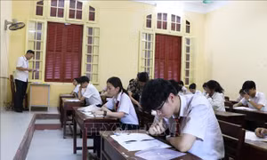 Công tác hướng dẫn thí sinh làm thủ tục diễn ra chu đáo, nghiêm túc