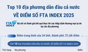 Top 10 địa phương dẫn đầu cả nước về điểm số FTA Index 2025