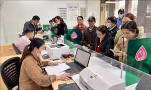 Huy động nguồn lực, phát triển KT- XH vùng đồng bào dân tộc thiểu số, miền núi