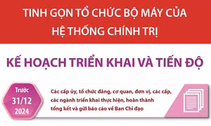Kế hoạch triển khai và tiến độ tinh gọn tổ chức bộ máy của hệ thống chính trị