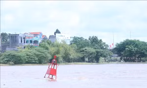 Báo động cấp I trên sông Trà Lý, sông Thái Bình
