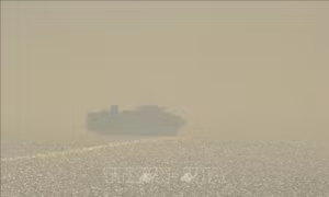 Ngoại trưởng Ukraine và Thổ Nhĩ Kỳ thảo luận về tình hình an ninh tại Biển Đen