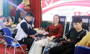 Lễ hội Xuân hồng lan tỏa tinh thần nhân ái, sẻ chia yêu thương