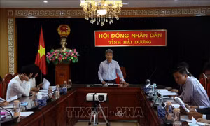 Hải Dương sẽ dành trên 34 tỷ đồng hỗ trợ liên kết trong sản xuất, tiêu thụ sản phẩm nông nghiệp