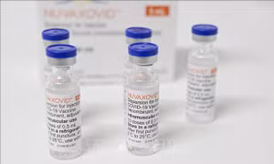 Mỹ cấp phép sử dụng vaccine phòng COVID-19 của Novavax làm mũi tăng cường