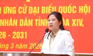 Cử tri vùng biên giới biển Quảng Ngãi tin tưởng, kỳ vọng vào người ứng cử đại biểu Quốc hội