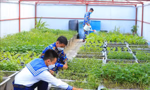 'Xanh hóa' và ước mong gần với đất liền của huyện đảo Trường Sa