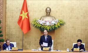 Thủ tướng chủ trì phiên họp Chính phủ thường kỳ tháng 3/2021
