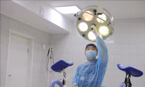 Bác sĩ trẻ hỗ trợ cộng đồng người Việt tại Nga trong dịch COVID-19