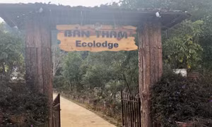 Sắc màu bản Thẳm