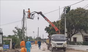 Phản hồi thông tin của TTXVN: Ninh Bình di dời hàng cột điện giữa lòng đường