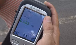 Uống rượu ngâm cây anh túc, lái xe bị phát hiện dương tính với ma túy