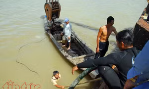 TP Hồ Chí Minh