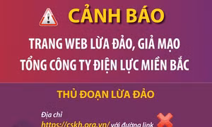 Cảnh báo trang web lừa đảo, giả mạo Tổng công ty Điện lực miền Bắc