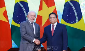 Thủ tướng Phạm Minh Chính hội kiến Tổng thống Brazil Luiz Inácio Lula da Silva