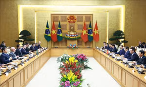 Thủ tướng Chính phủ Phạm Minh Chính hội kiến với Tổng thống Brazil Luiz Inácio Lula da Silva