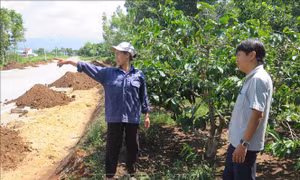 Kon Tum: Tôn vinh hai cá nhân hiến đất làm đường