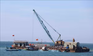 Đà Nẵng ứng phó với biến đổi khí hậu - Bài 2: Phục hồi rừng ngập mặn, chống sạt lở ven biển