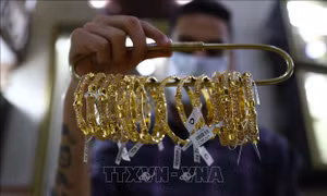 Giá vàng thế giới giảm xuống mức thấp nhất trong bảy tuần 
