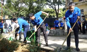'Ngày Chủ nhật xanh' tạo sức lan tỏa lớn trong xã hội