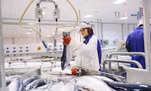 FTA Việt Nam - EFTA mở thêm dư địa cho hải sản Na Uy tại Việt Nam