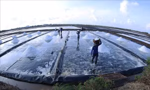 Kinh tế tư nhân chuyển biến tích cực về quy mô, chất lượng và niềm tin phát triển