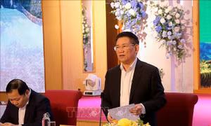 Phó Thủ tướng Hồ Đức Phớc chủ trì Hội nghị Hội đồng điều phối vùng Trung du và miền núi phía Bắc 