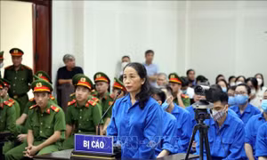 Xét xử cựu Giám đốc Sở Giáo dục và Đào tạo Quảng Ninh cùng đồng phạm