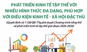 Phát triển kinh tế tập thể với nhiều hình thức đa dạng, phù hợp với điều kiện đặc thù