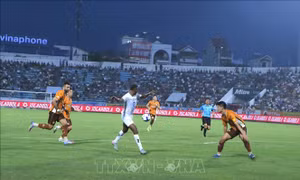 V.League 1-2024/2025: Thép Xanh Nam Định tiến nhanh về đích