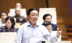 Phát triển nông nghiệp công nghệ cao không nhất thiết phải có cánh đồng lớn
