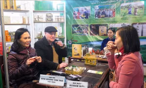 Đặc sắc Đêm hội giao lưu văn hóa thưởng trà