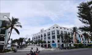 Xây dựng hệ sinh thái dữ liệu và đổi mới sáng tạo