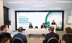Ngoại giao kinh tế đóng góp tích cực cho phát triển đất nước