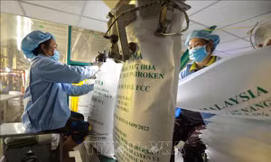 Doanh nghiệp gạo được hỗ trợ giá trong ngắn hạn
