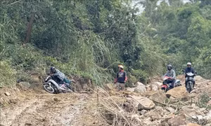 Sạt lở nhiều tuyến đường ở xã miền núi Phú Mỡ (Đắk Lắk)