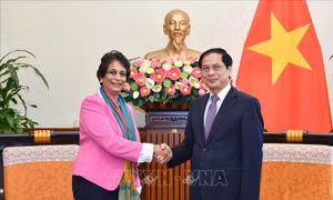 Ngoại trưởng Việt Nam và Giám đốc UNDP châu Á bàn trọng tâm hợp tác tương lai