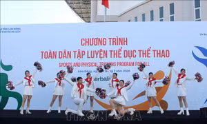 Trên 1.000 người tham gia Chương trình Toàn dân tập luyện thể dục thể thao