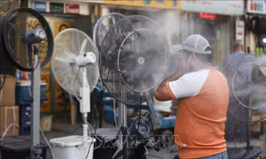 Liên hợp quốc: Nắng nóng cực đoan ở Iraq là lời cảnh báo đối với thế giới