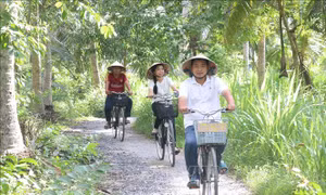 Tuổi trẻ xứ Dừa tự hào tiến bước dưới cờ Đảng - Bài 2: Xung kích trong phát triển kinh tế
