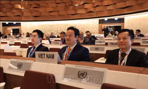 Việt Nam ủng hộ giải trừ quân bị và không phổ biến vũ khí hạt nhân